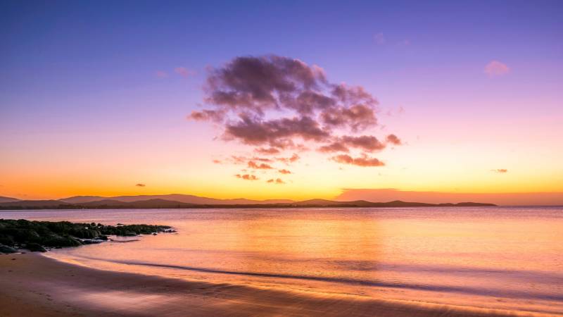 Annual General Meeting 2025 President's Report